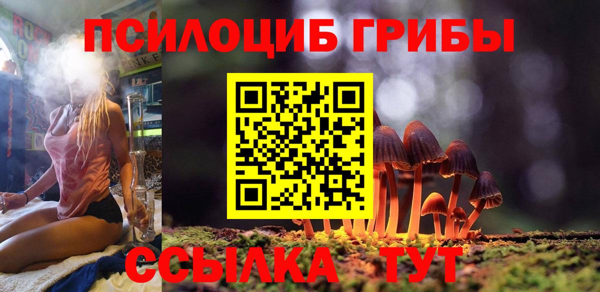 Рассказово  Галлюциногенные грибы мухоморы  Вход с VPN 